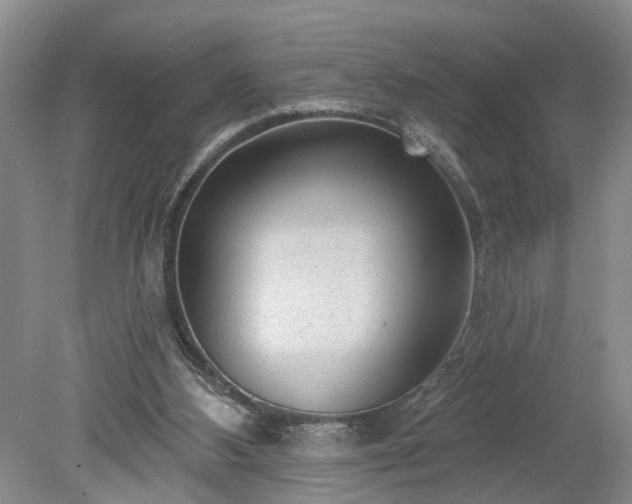 X0000078890108200611201447