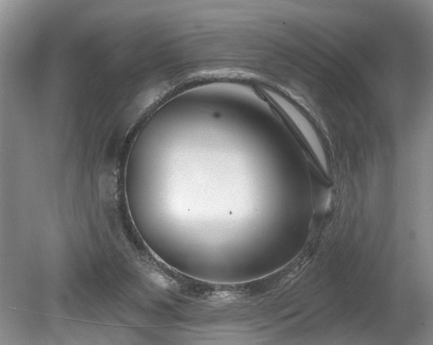 X0000078890111200611201447