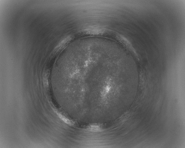 X0000078890114200611201447