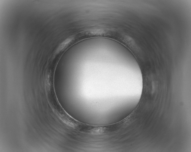 X0000078890116200611201447