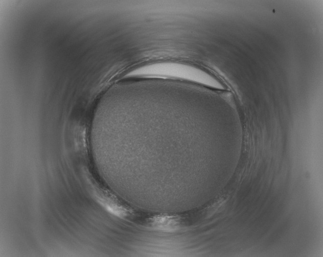 X0000078890117200611201447