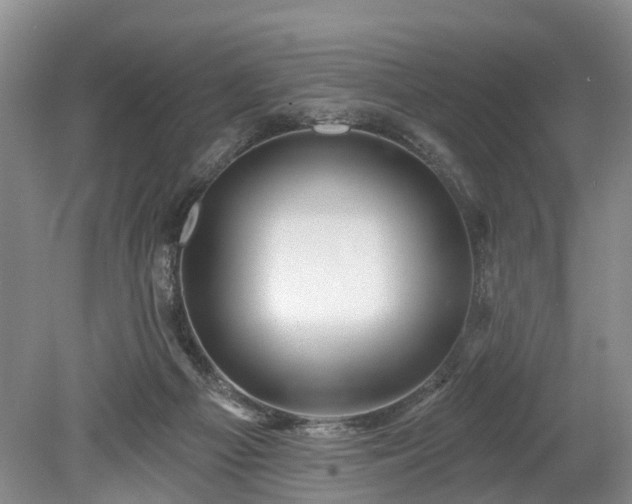 X0000078890121200611201447