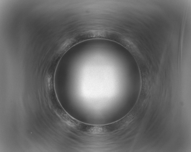 X0000078890123200611201446