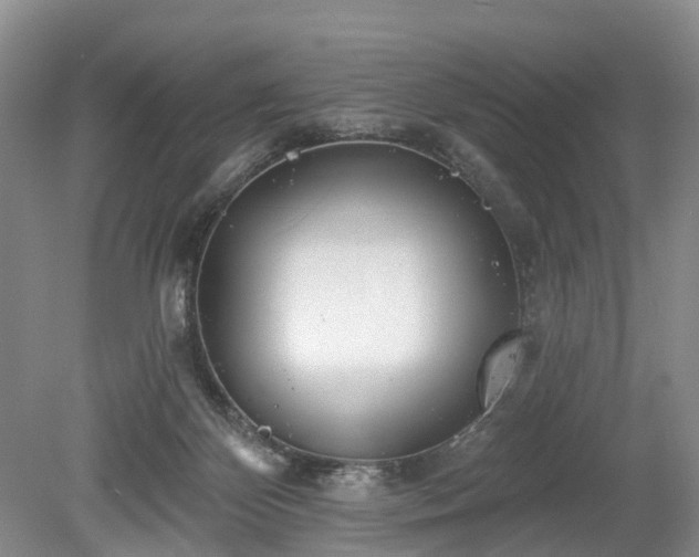 X0000078890124200611201446