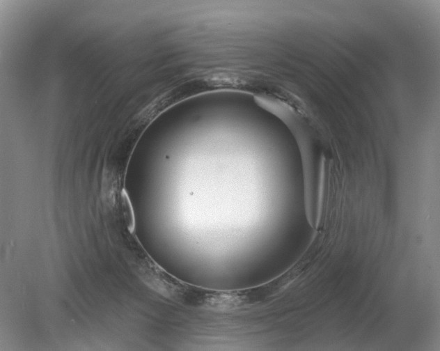 X0000078890125200611201446