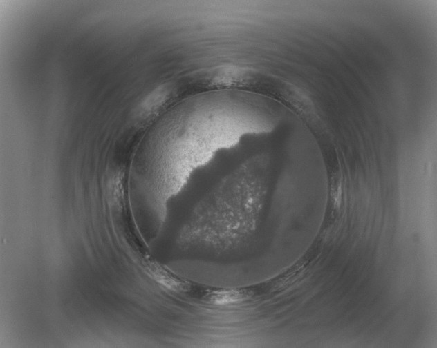 X0000078890127200611201446