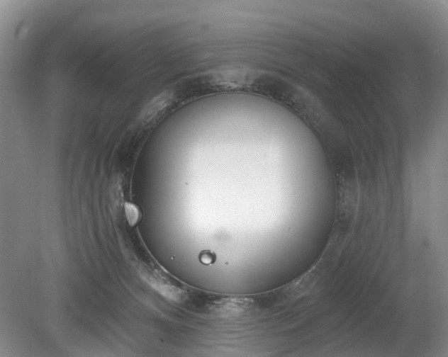 X0000078890128200611201446