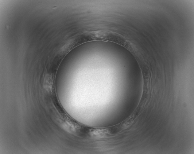 X0000078890129200611201446