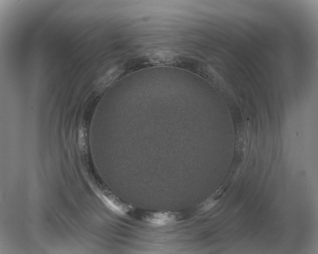 X0000078890130200611201446