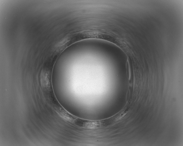 X0000078890131200611201446