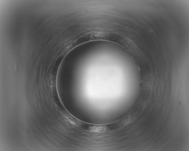 X0000078890135200611201446