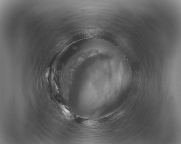 X0000078890139200611201446