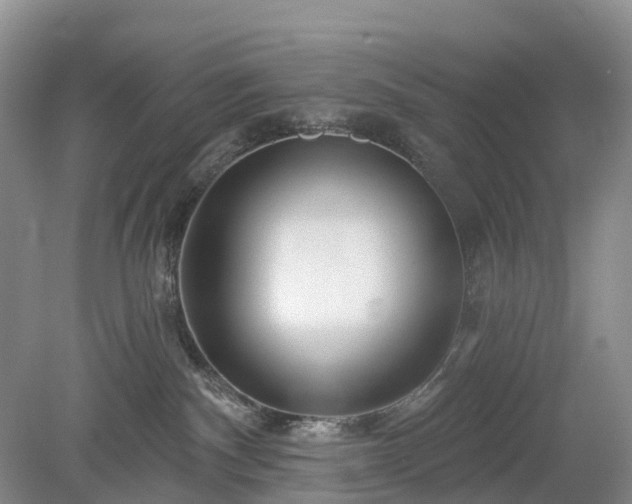 X0000078890140200611201446