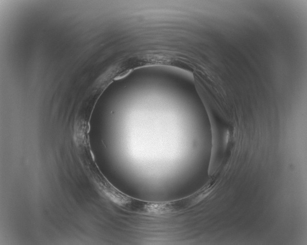 X0000078890141200611201446