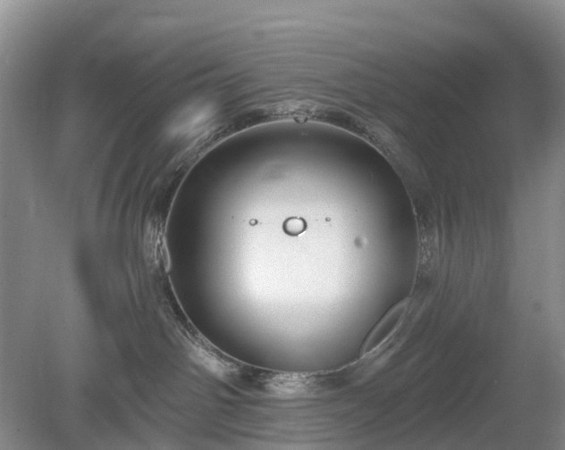 X0000078890142200611201446