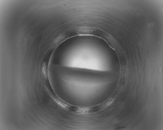 X0000078890143200611201446