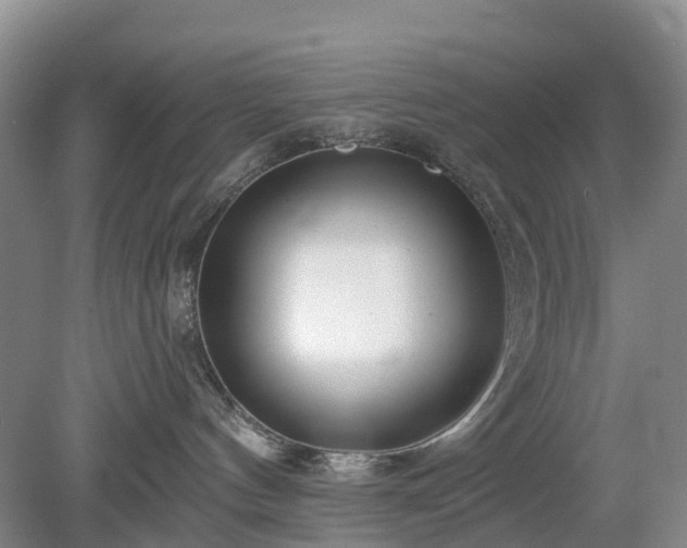 X0000078890144200611201446