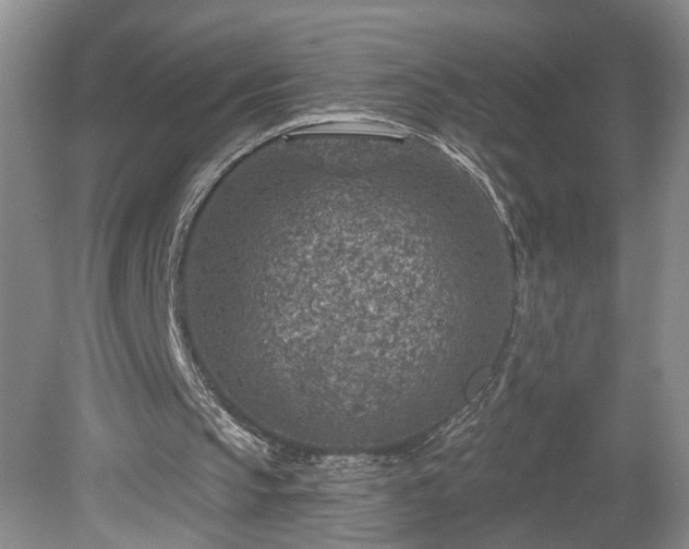 X0000078890145200611201445