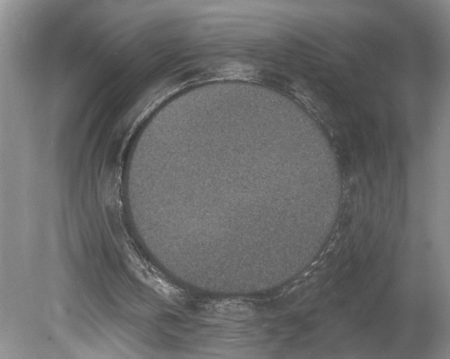 X0000078890146200611201445