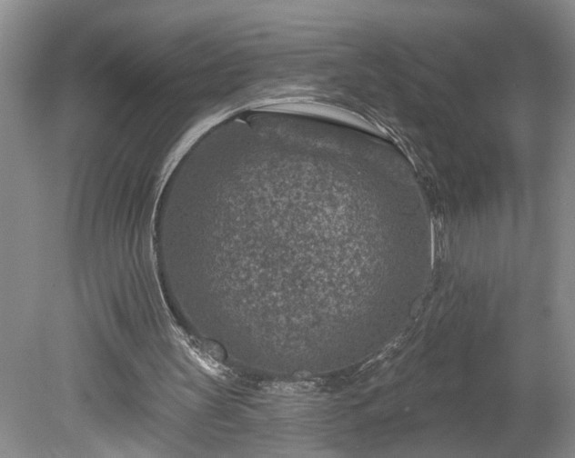 X0000078890147200611201445