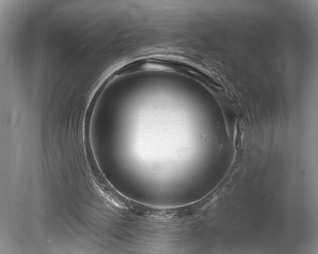 X0000078890148200611201445