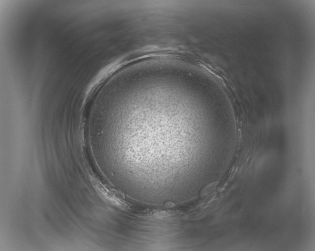 X0000078890149200611201445