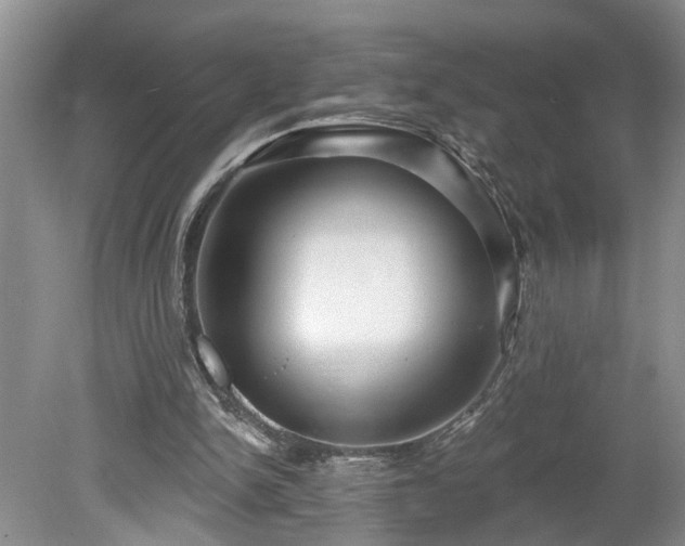 X0000078890150200611201445