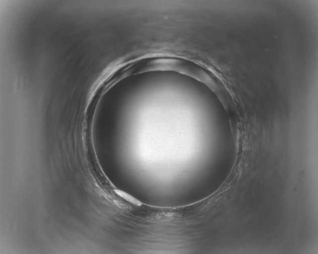 X0000078890152200611201445