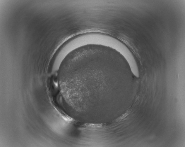 X0000078890156200611201446