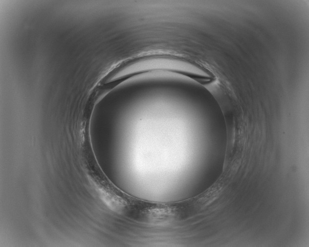 X0000078890160200611201446