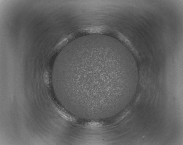 X0000078890161200611201446