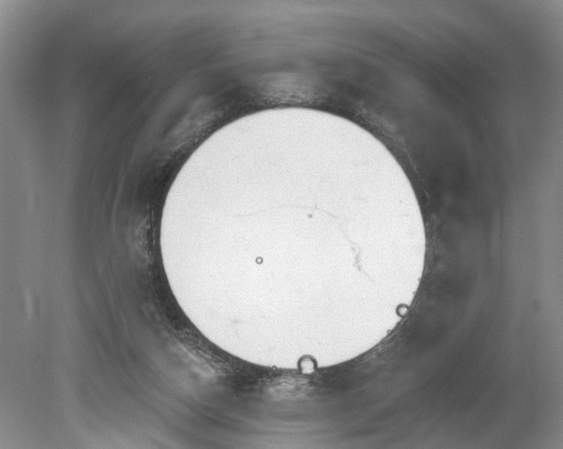 X0000078890162200611201446