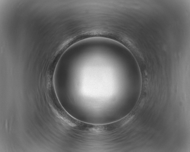 X0000078890164200611201446