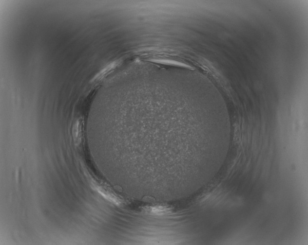 X0000078890165200611201446