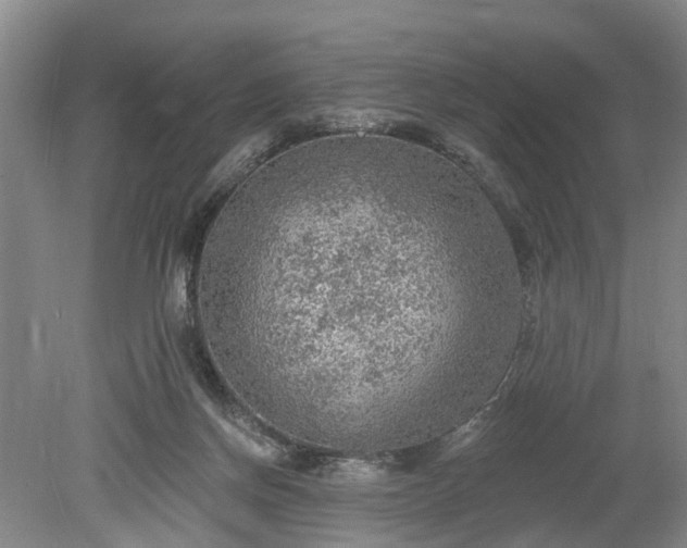 X0000078890166200611201446