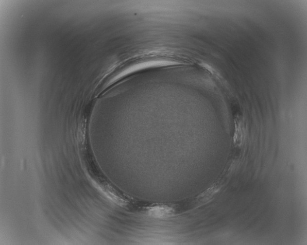 X0000078890168200611201446