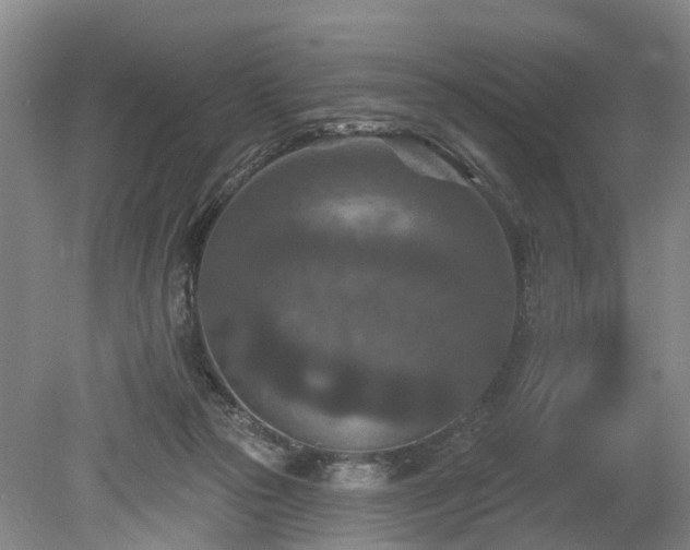 X0000078890169200611201446