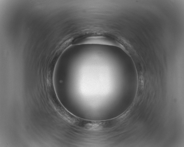 X0000078890170200611201446