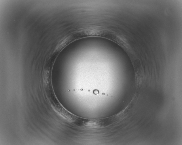 X0000078890171200611201446