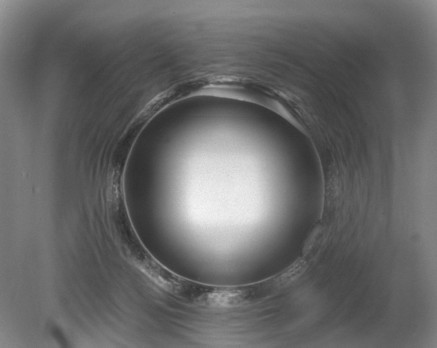 X0000078890172200611201446