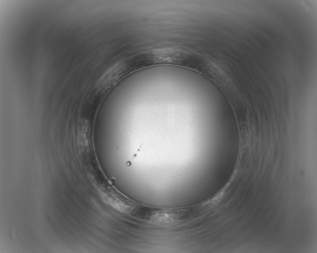 X0000078890174200611201446