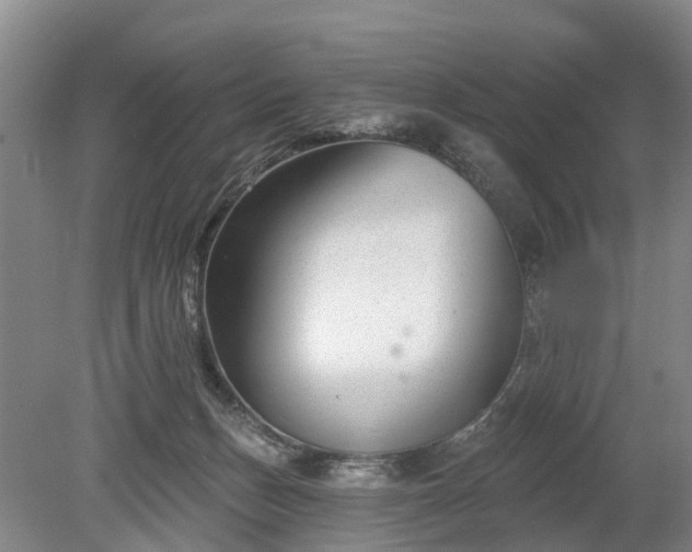 X0000078890175200611201446