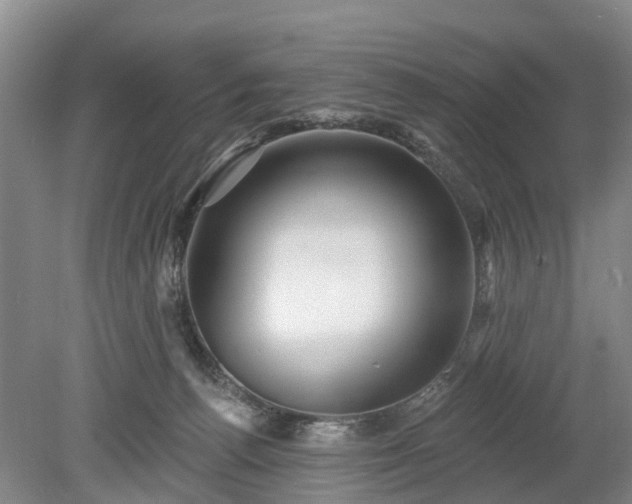 X0000078890176200611201446