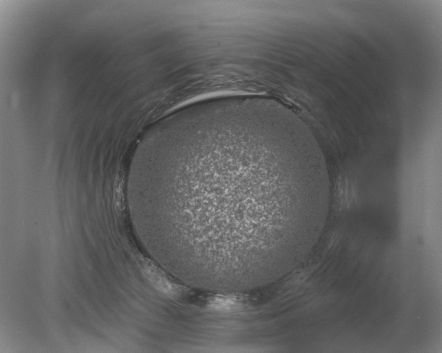 X0000078890177200611201446