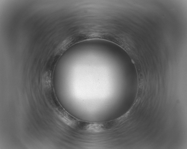 X0000078890179200611201446