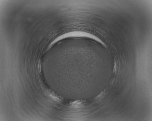 X0000078890180200611201446