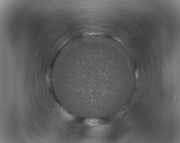 X0000078890181200611201446