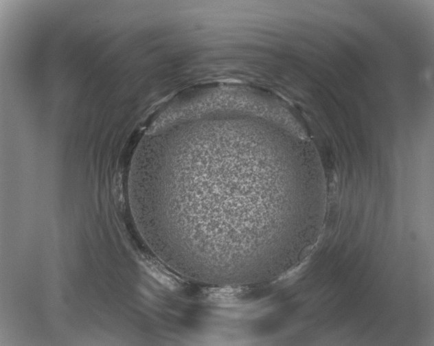 X0000078890182200611201446