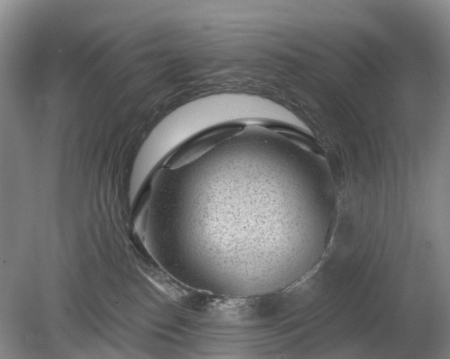 X0000078890186200611201446