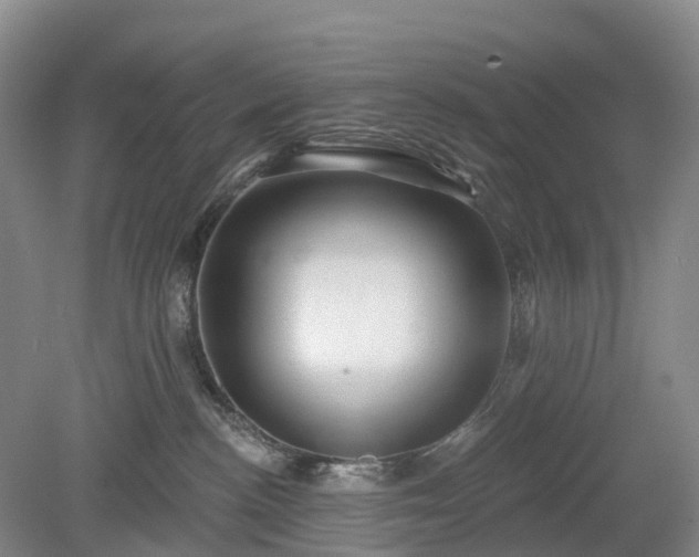 X0000078890188200611201446